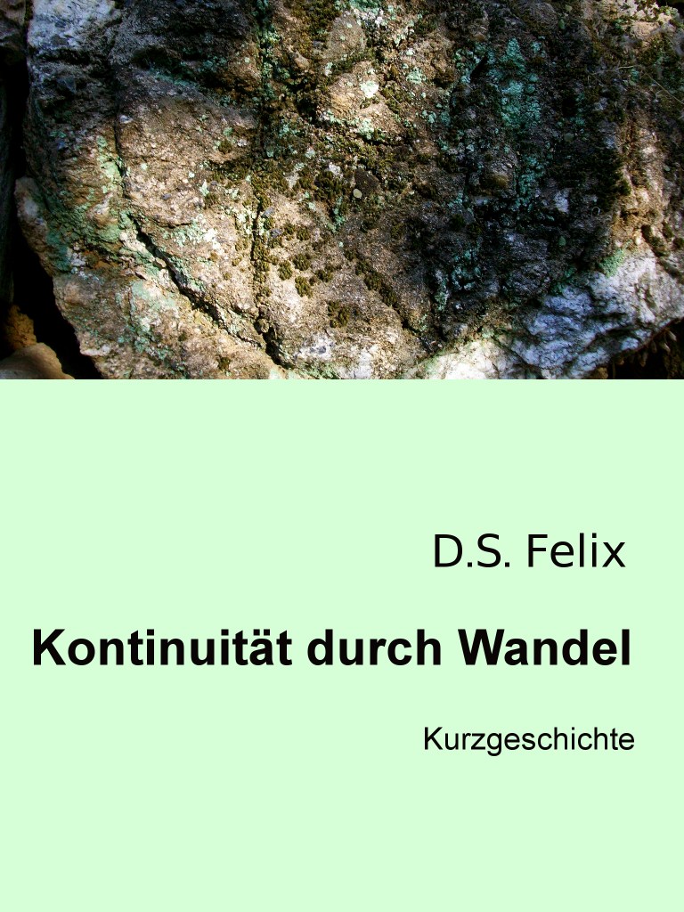 Kontinuität durch Wandel © D.S. Felix 