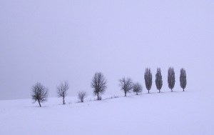 Schneelandschaft by Dorothea Schönfeld alias Facettenauge