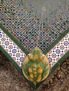 Frosch aus Tarifa © D.Schönfeld 2016